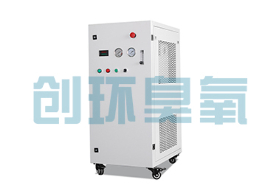 迁西石斑鱼养殖水质调控完整指南:臭氧发生器配置与操作步骤